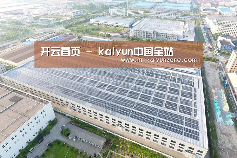 案例展示一
