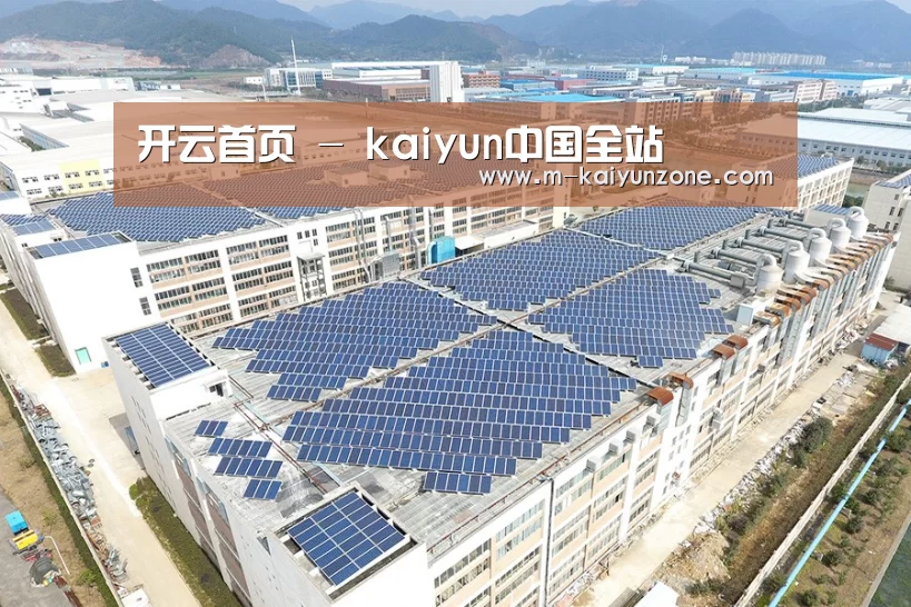 案例展示四