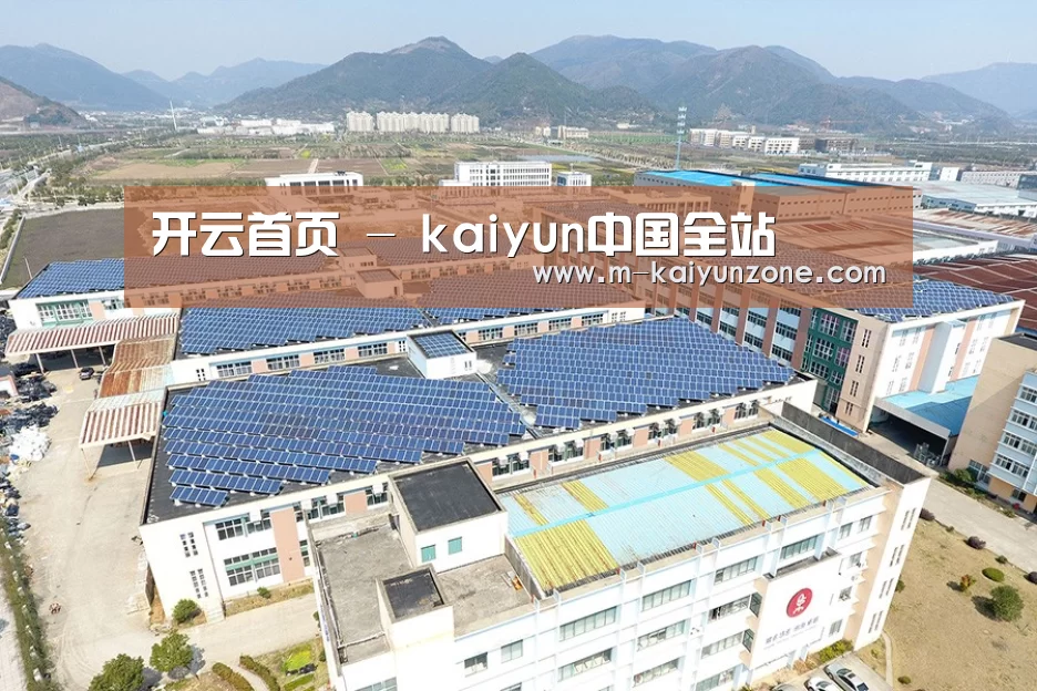 案例展示三