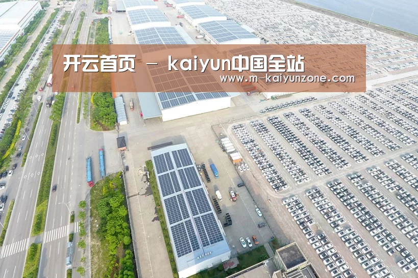 案例展示三